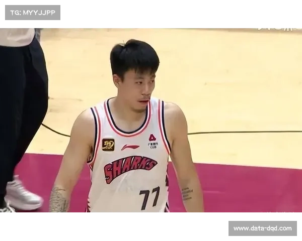 上海男篮签下张镇麟与弗格,锋线升级剑指总冠军 上海男篮签下张镇麟与弗格,锋线升级剑指总冠军